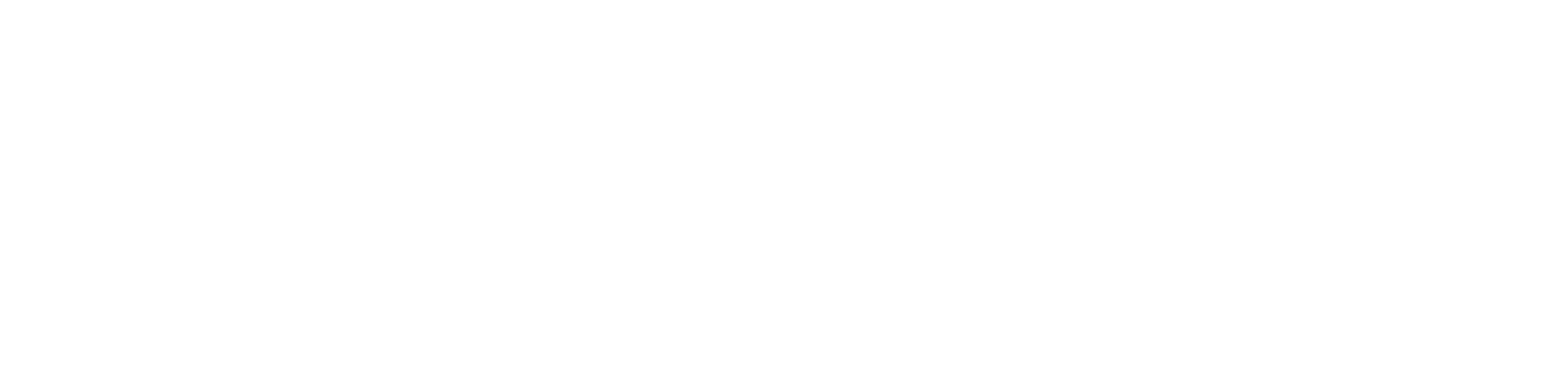 EMPOW S