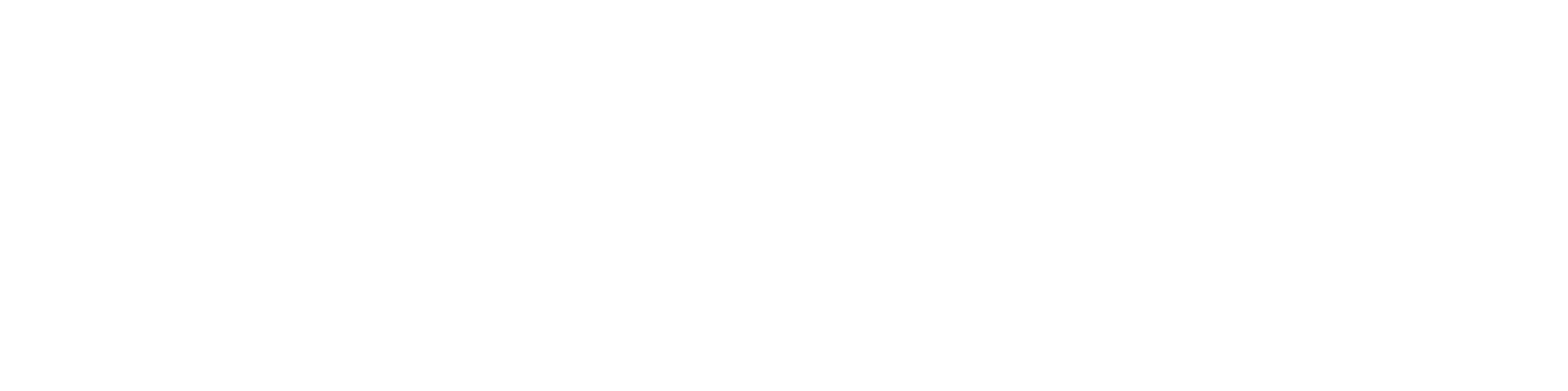 GS8 Traveller