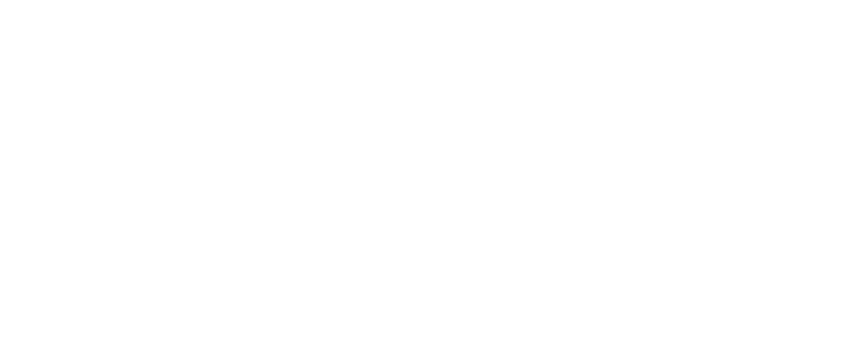 GS8 Traveller
