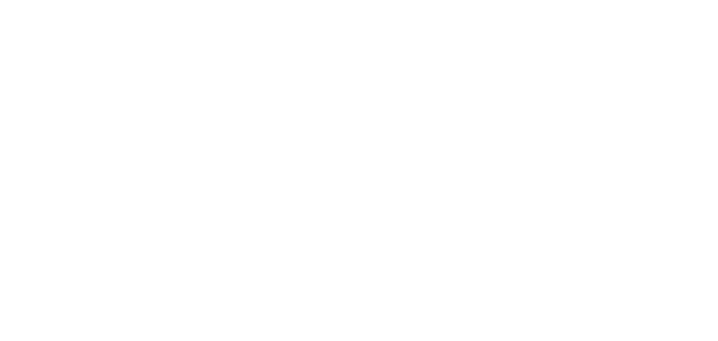 GS4 MAX 