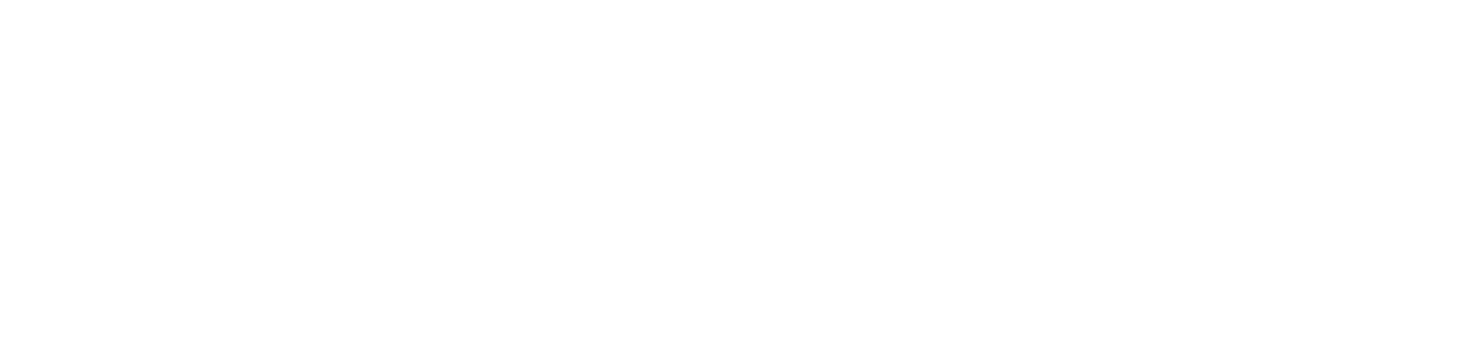 EMZOOM